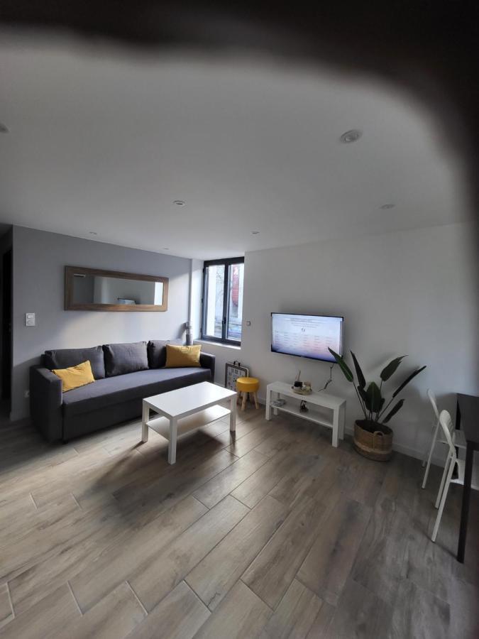 סן-אטיין Appartement Entierement Renove A Neuf 101 מראה חיצוני תמונה